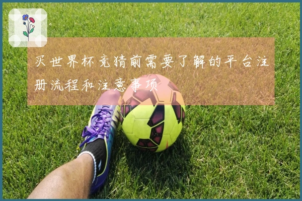 买世界杯竞猜前需要了解的平台注册流程和注意事项
