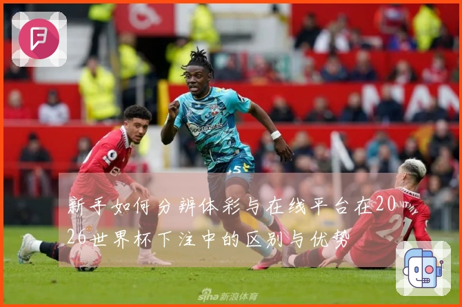 新手如何分辨体彩与在线平台在2026世界杯下注中的区别与优势